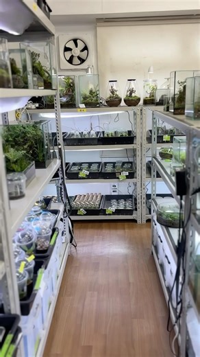 Our monthly studio sale will be held on April 5th from 11:00 to 16:00.