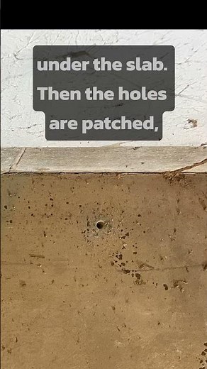 Termite Drilling Treatment Process: How it's done