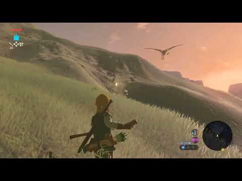 Getting Better Bows Right After Leaving the Great Plateau – Zelda: Breath of the Wild (Switch 2)