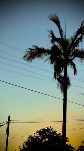 Exploring the Ford F100: A Classic Truck Journey