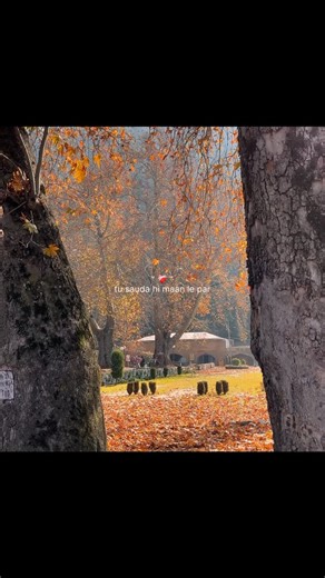 ‎عمر حیدری‎ on Instagram: ""Aawaara Angaara🥹 . . . . . . . . . . . . #AawaaraAngaara #FaheemAbdullah #TerelshqMein #LensArt #CinematicReels #AestheticReels #LyricsReel #ViralReels #MoodyAesthetic #VisualPoetry #ReelVibes #TrendingReel #CinematicShots #AestheticVideo #ReelsIndia #IndieAesthetic#repost"