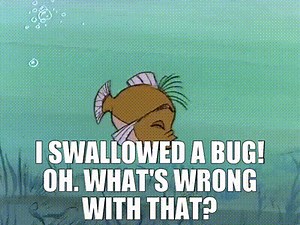 - I swallowed a bug! - Oh. What's wrong with that?