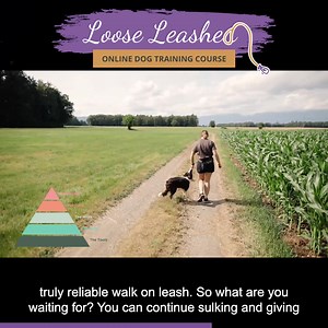 ❌ You shouldn’t teach your dog not to pull. 😉 I know it sounds counterintuitive, but … Teaching leash walking starts by showing your dog what is expected of them. That’s why we’ll show you how to effectively teach them to always walk by your side. 🙃 Imagine walking your dog with ease, no pulling, no tugging, just a peaceful stroll where both you and the dog enjoy the moment. 🦮😍 Sound like a dream? … Let it become a reality! Our New “Loose-Leash” course is about to transform your walk from st
