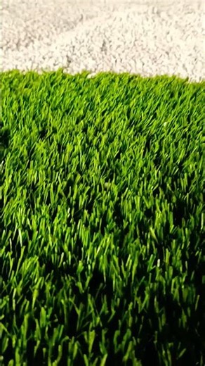 Stone Accent Artificial Grass Yard #transformation #diy #shorts