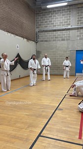 Belgium Spring Camp 2023 with Shihan Katsuhito Gorai and Sensei Djema Belkhodja #prokyokushin #kyokushin #karate #kyokushinkai | prokyokushin