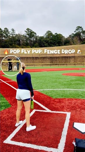 Pup Pulls Off Amazing ⚾️ Trick Shot Catch!