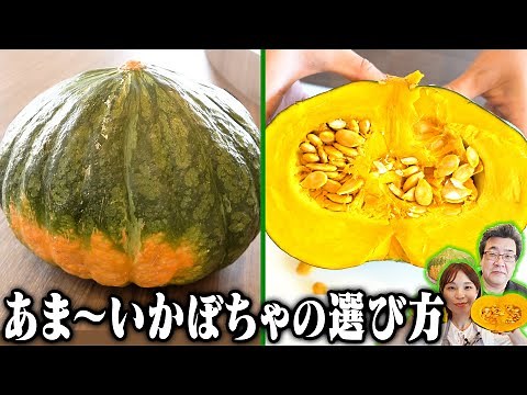 甘くて美味しいかぼちゃの選び方をご紹介！ポイントは種の形と色の濃さ！