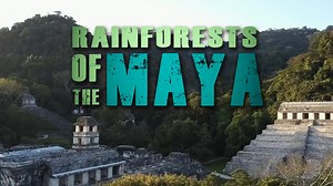 Rainforests of the Maya • Odyssey Earth