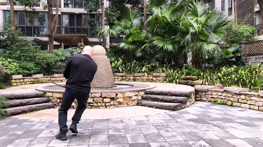 2.7K views · 83 reactions | Nourishing the elixir by following the straight path. | Norman Török | Facebook