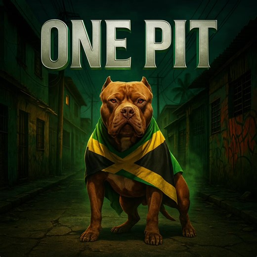 ONE PIT — Kingston War Dog Anthem 🐕🔥🇯🇲 “Pitbull inna full war mode 😤🔥 Kingston streets raw dancehall bass = straight madness. #OnePit #Pitbull #DancehallBadness #JamaicaMusic”