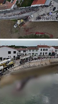 Une baleine de 12 mètres échouée sur une plage à l’île de Ré