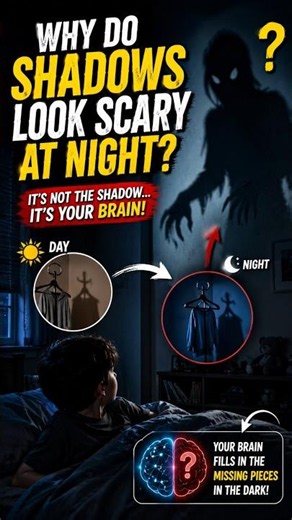 Why Do Shadows Look Scary at Night🤔?#shorts #shortsfeed #shortsvideo