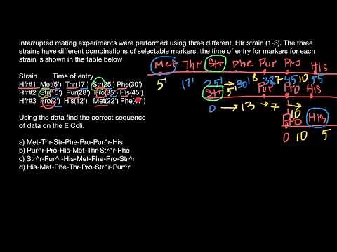 DNA mapping (interrupted mating)
