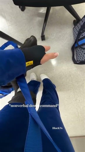 School VLOG (as a Service Dog) 🐕‍🦺💙 | WOLFpak | WOLFpup