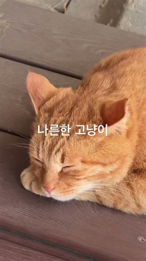 2026년 4월 23일