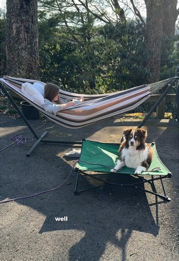 The Joy of Hammock Time with Dogs