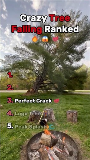 Most Impressing Falling Tree Ranked 🔥😱💯