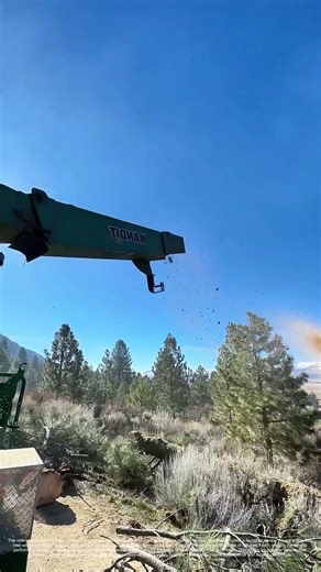 Projectile Forestry: A Method for Remote Tree Removal
