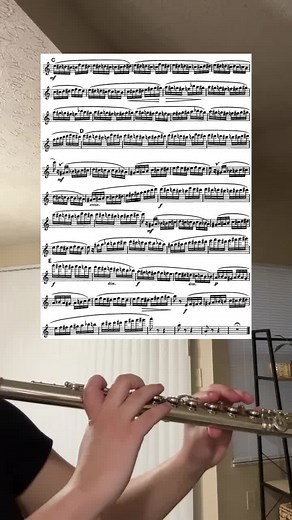 Flight of the Bumblebee🐝 Part 2✨ #fypシ #fyp #fy #flute #flustist #flutemusic #fluteplayer #performance #musician