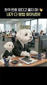 포동이가 싹-! 다 인증해 드려요