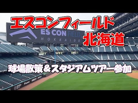 【観光】エスコンフィールド北海道を見学散策した！スタジアムツアーも参加、監督席に座れる？