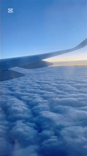 Airplane view from window ✈️#airplaneviews#viral #shortvedio