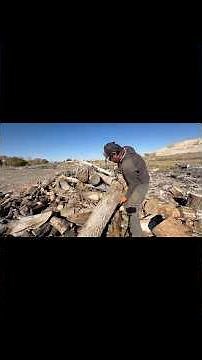 Incredibly useful log moving tool! #firewood #woodmoving #woodprocessing #logtongs #woodprocessing