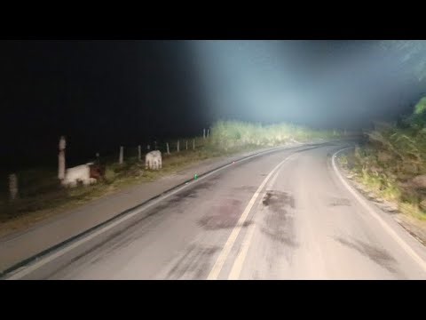 PERIGO ANIMAIS SOLTOS E MUITA NEBLINA NA BR 418, NANUQUE, CARLOS CHAGAS, TEÓFILO OTONI, EP 1781.