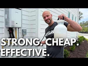 Cheap & Easy DIY Pest Control That Works!