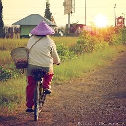 (HIGH QUALITY) Gan Lan Shu - 橄榄树 | Smule