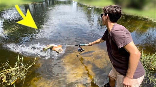 Hidden Pond Packed with Exotic Fish - You Won’t Believe What’s Inside