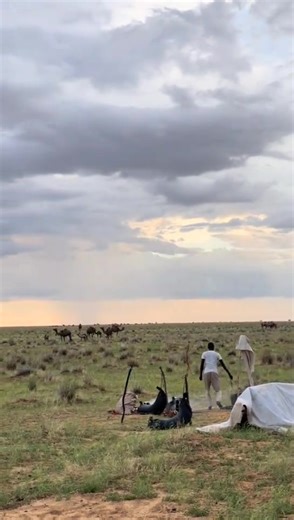 Nour officiel (@touna.0001)’s videos with الصوت الأصلي - عــازف عـشـتـين 🎹