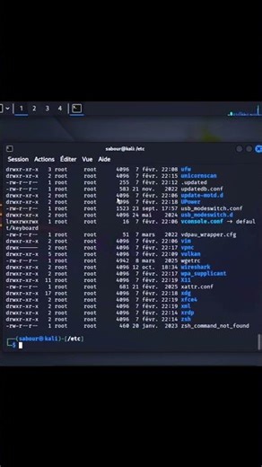 Tes 4 commandes de survie sous Linux #hackingethique #kalilinux #windows