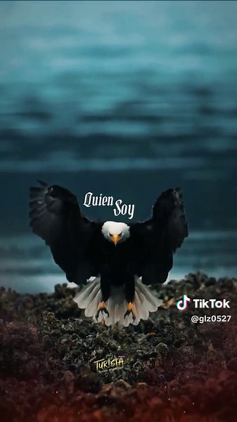 Hay Niveles: Explorando las Estrofas y Letras