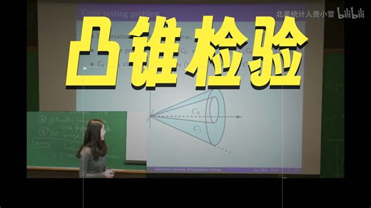 谷歌研究学者，宾夕法尼亚大学AP魏玉婷：假设检验的几何分析
