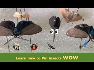 How to Pin an Insect Tutorial for Kids - make a bug box - FULL VIDEO - Part 1 // AMI Studios Chicago
