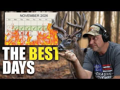 2026 Whitetail Rut Calendar: The Best Days To Hunt