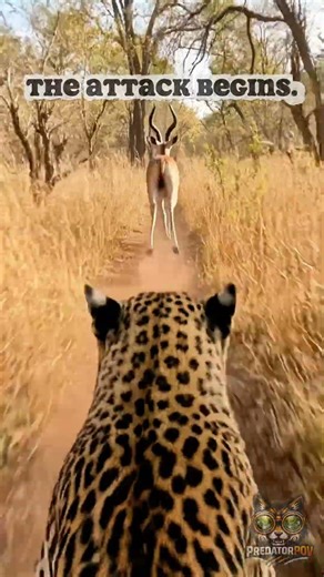 POV: Heart Pounding Stalk in Total Darkness