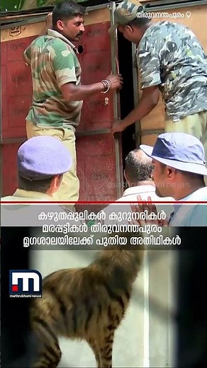കുറുനരീ... വെൽകം ടു തിരുവനന്തപുരം മൃ​ഗശാല!! | Thiruvananthapuram Zoo | Animals