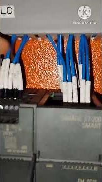 S7 200 Smart PLC Input Output Wiring