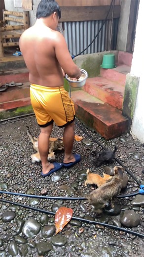 🐈🐈 | Nick John