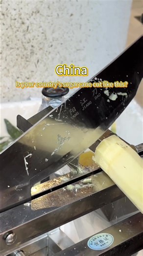 Enjoying Sugar Cane in Chinese Cuisine