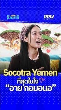 เปิดโลก! “Socotra Yemen” ที่สุดในใจ “อาย กอมอนอ” | สารพัดมิตร