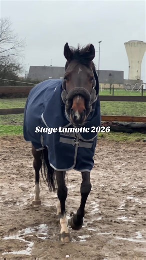 Stage Lamotte 2026- Day 1 #lamotte #equestrian #showjumping #lamottebeuvron #horseriding