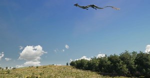 Vegetation Studio Pro Extensions | Terrain | Unity Asset Store