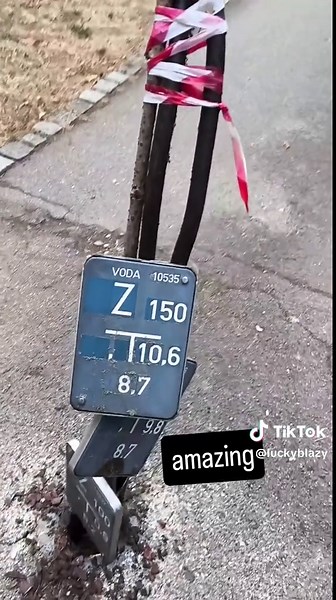 Lucky Blazy on TikTok