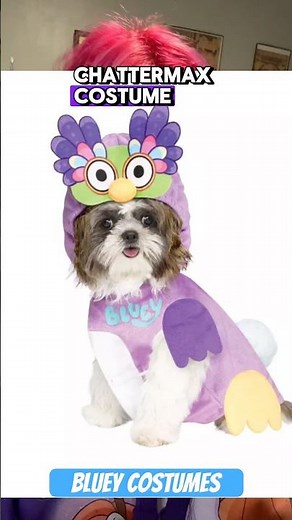 Bluey dog costume ideas for Halloween #bluey #halloween