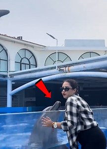 Not Even AI Can Explain This One😂 | Love