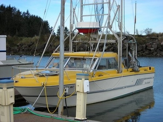 How to Remove 3M 4200 Sealant | Homesteady