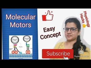 #Molecular motors- function